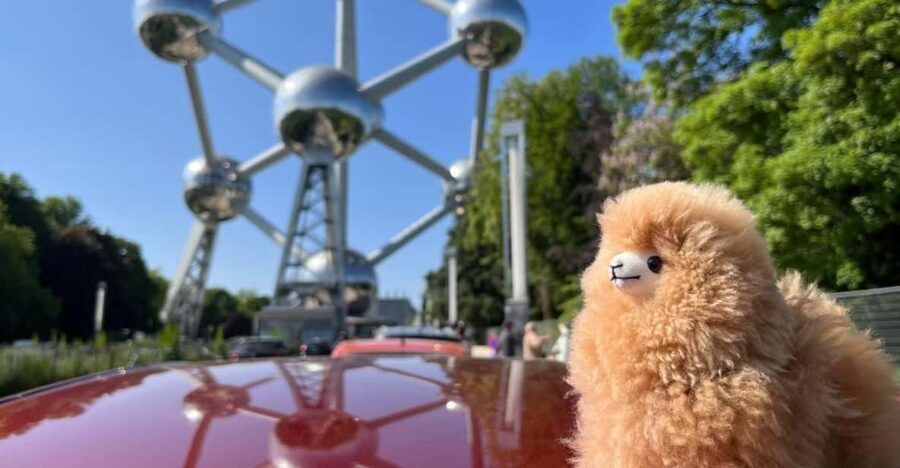 Brussels Day Trip from Paris or Amsterdam by Mini-Van - Walking and Tasting Tour: Discovering Brussels’ Heart