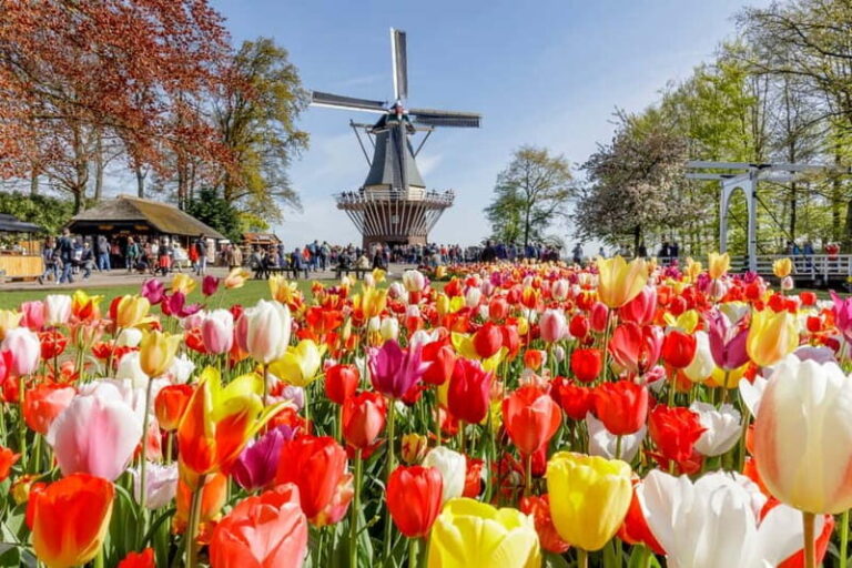 Brussels: Full Day Holland Keukenhof & Windmills Guided Tour - Who Should Take This Tour?