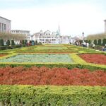 Brussels Like a Local: Customized Private Tour - Who Should Book This Tour?