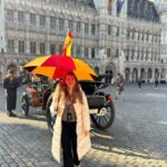 Brussels: Local Guide Walking Tour of the Historic Center - Practical Details and Tips