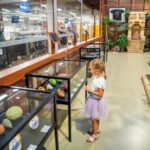 Brussels: Private Family Tour. Highlights, Tasting & Museum - Practical Details and What to Expect