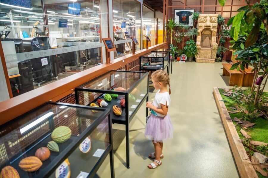 Brussels: Private Family Tour. Highlights, Tasting & Museum - Practical Details and What to Expect