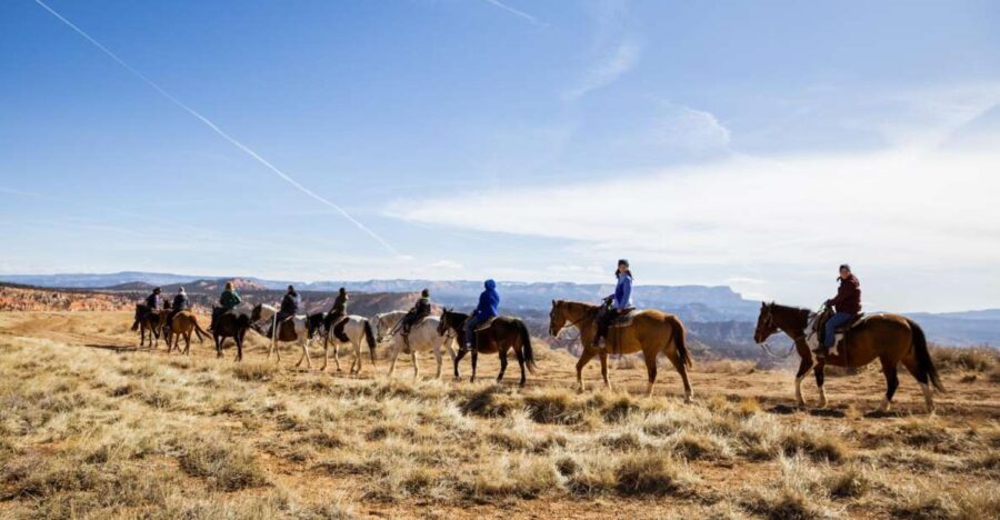 Bryce Canyon: Horseback Ride in the Dixie National Forest