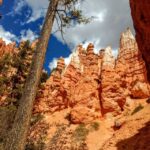 Bryce Canyon National Park Hiking Experience - The Sum Up