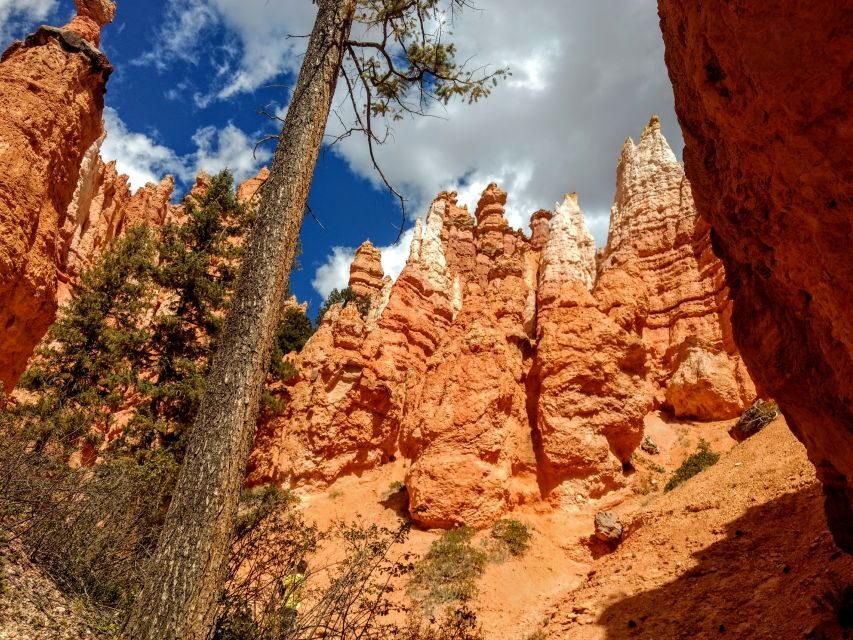 Bryce Canyon National Park Hiking Experience - The Sum Up