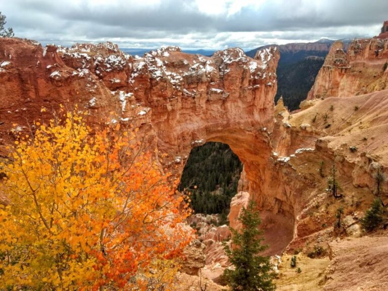 Bryce: Guided Sightseeing Tour of Bryce Canyon National Park - A Deep Dive into the Bryce Canyon Experience