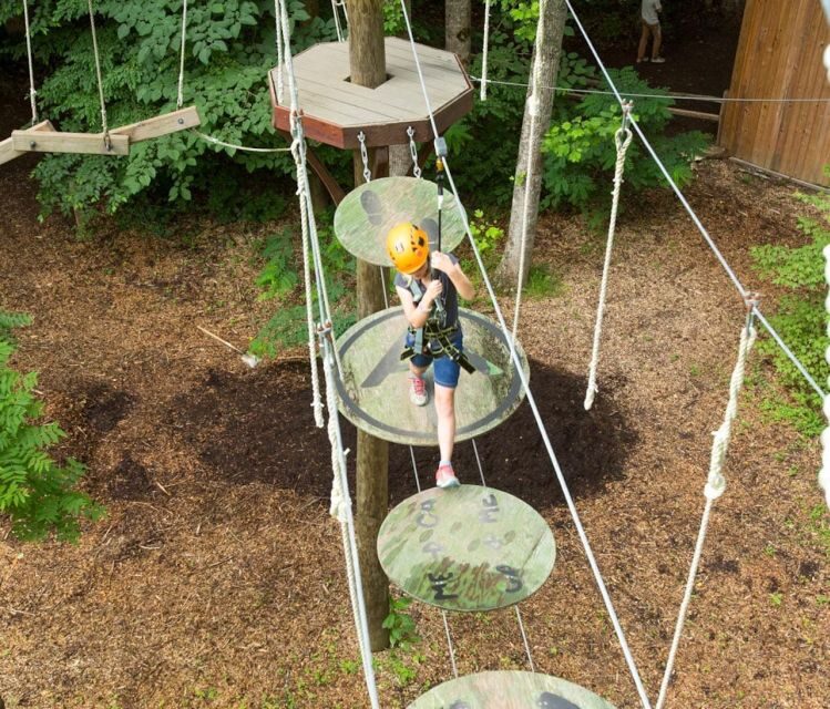 Bryson City: Zip Line Adventure Park Pass with Gear - What to Know Before You Go