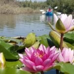 Bucharest: Arges River Kayaking Tour with Transfers - Why This Tour Offers Real Value