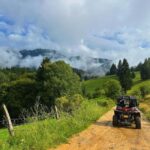 Bucharest: Brown Bears Sanctuary and Quad Tour - An Authentic Adventure in Romania’s Mountains