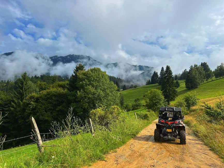 Bucharest: Brown Bears Sanctuary and Quad Tour - An Authentic Adventure in Romania’s Mountains