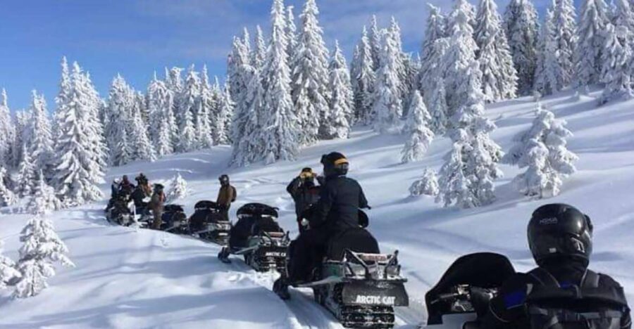 Bucharest: Carpathian Snowmobile Adventure Tour - Exploring the Details of the Carpathian Snowmobile Adventure