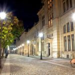 Bucharest: Charm of the Belle Époque Private Tour - What to Expect During the Tour