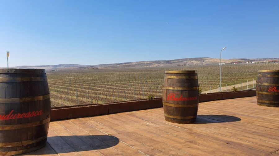 Bucharest: Dealu Mare Winery Private Trip with Wine Tasting - Who Will Love This Tour?