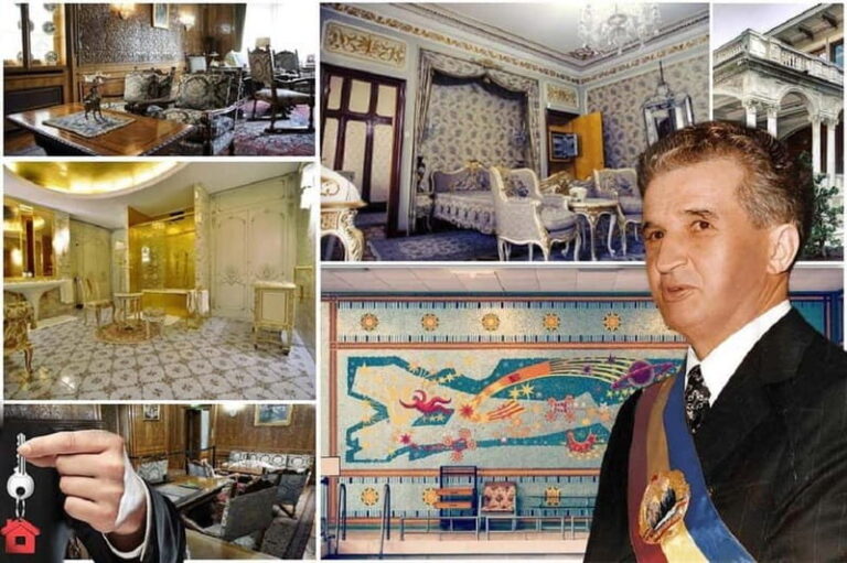 Bucharest : Parliament, Ceauescu Mansion & Village Museum - Who Should Consider This Tour?