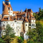 Bucharest: Pele Castle, Dracula Castle, and Braov Day Trip - Why This Tour Offers Good Value