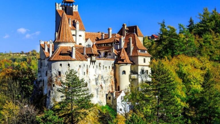 Bucharest: Pele Castle, Dracula Castle, and Braov Day Trip - Why This Tour Offers Good Value