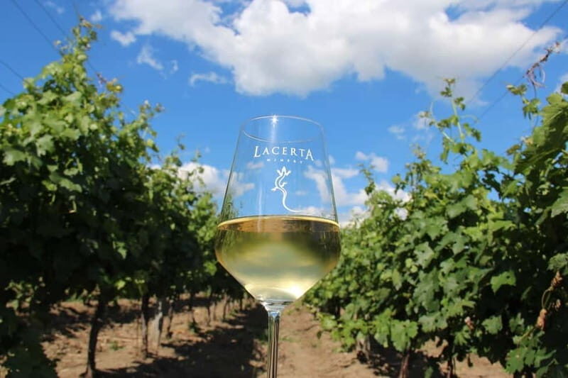 Bucharest: Taste the Magic of Wine in Romanias Tuscany - What Makes This Tour Stand Out