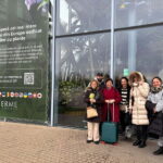 Bucharest: Therme Elysium 4.5hours Tickets+Transfer included - A Detailed Look at the Experience