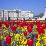 Buckingham Palace and Windsor Castle Self-Guided Tour with Coach - The Value Proposition