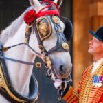 Buckingham Palace: The Royal Mews Entrance Ticket - Who Should Consider This Tour?