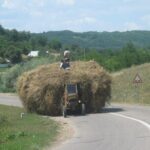 Bucovina Painted Monasteries Day Tour - The Sum Up