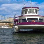 Budapest: Catamaran Pizza Cruise - The Itinerary and Experience