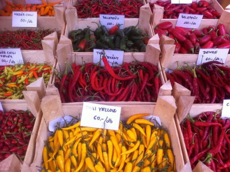 Budapest Culinary & Wine WalkBudapests Signature Food Tour - Frequently Asked Questions