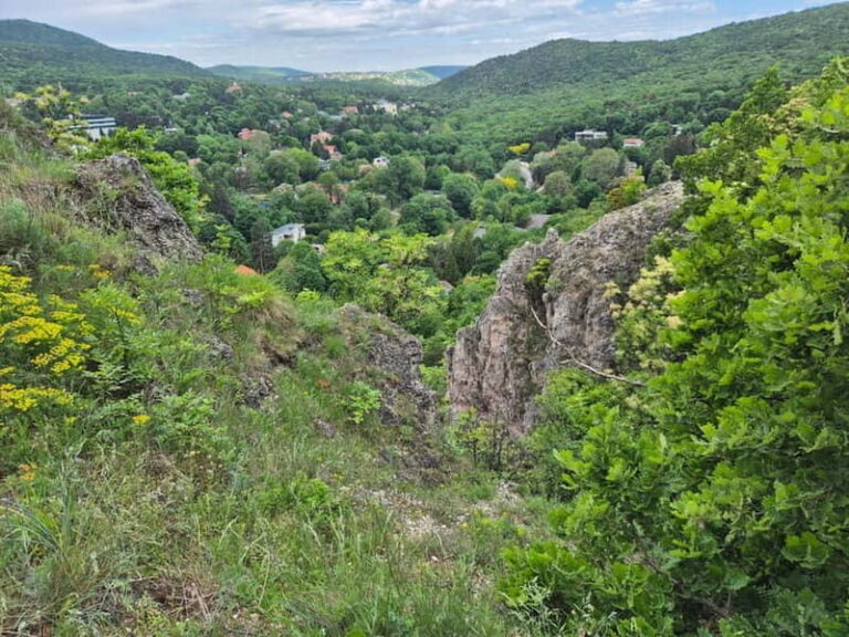 Budapest: Hiking Tour in the Buda Hills, Hármashatár Hill - An In-Depth Look at the Buda Hills Hiking Tour