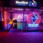 Budapest Nightlife Ticket - A Closer Look at the Budapest Nightlife Ticket