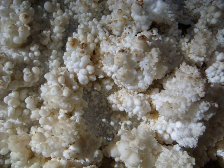 Budapest: Seml-hegyi & Pál-völgyi Caves Guided Walking Tour - Final Thoughts