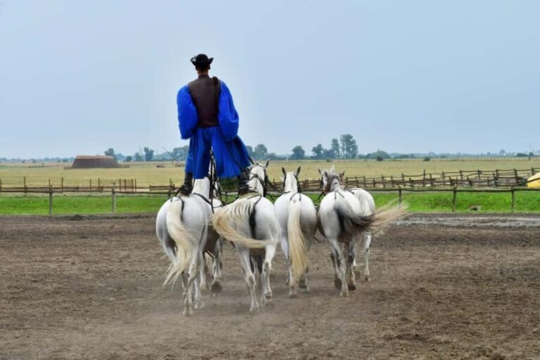 Budapest: Sisi Palace Tour with Hungarian Horse Show & Lunch - A Deep Dive into the Gödöllő Experience