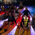 Budva: 2-Hour «Night Lights» Kayak Tour - The Experience in Detail: What to Expect from Start to Finish
