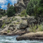 Buena Vista: Browns Canyon Raft Adventure - The Meeting Point and Prep