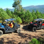 Buggy Family Experience - 60 to 120 minutes - The Experience of Driving a Buggy