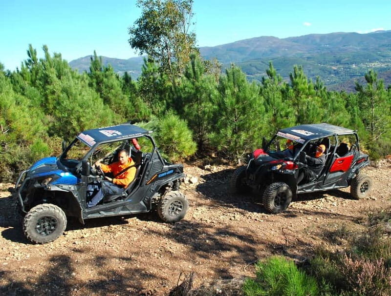 Buggy Family Experience - 60 to 120 minutes - The Experience of Driving a Buggy