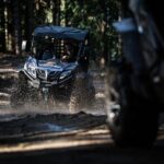 Buggy Tour in Serra da Lousã 2Hours - Exploring the Details of the Buggy Tour