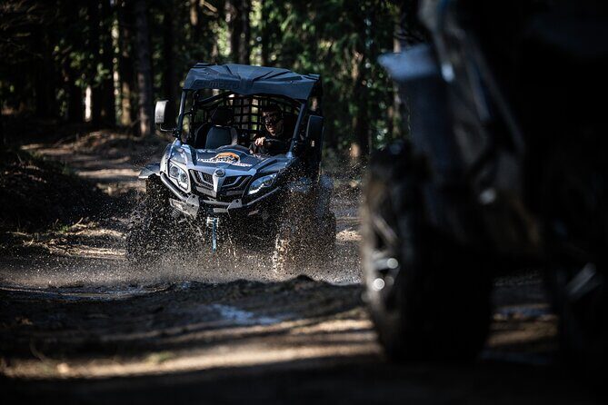 Buggy Tour in Serra da Lousã 2Hours - Exploring the Details of the Buggy Tour
