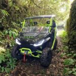 Buggy tour through the vineyards of Pico Island - Detailed Review of the Pico Island Buggy Tour
