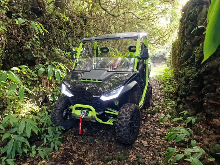 Buggy tour through the vineyards of Pico Island - Detailed Review of the Pico Island Buggy Tour