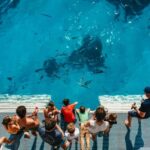 Bundaberg: Lady Musgrave Island and Great Barrier Reef Tour - Why This Tour Offers Great Value