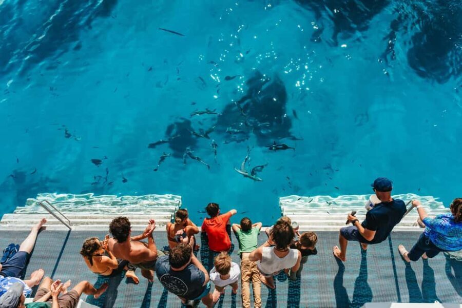Bundaberg: Lady Musgrave Island and Great Barrier Reef Tour - Why This Tour Offers Great Value