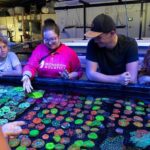 Bundaberg: Monsoon Aquatics Coral Farm Guided Tour - What Makes This Tour Stand Out