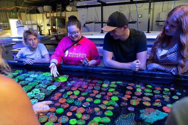 Bundaberg: Monsoon Aquatics Coral Farm Guided Tour - What Makes This Tour Stand Out