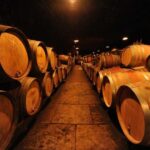 Burgundy Wines Full-Day Tasting Tour from Dijon - Exploring Burgundy’s Charm: A Detailed Review