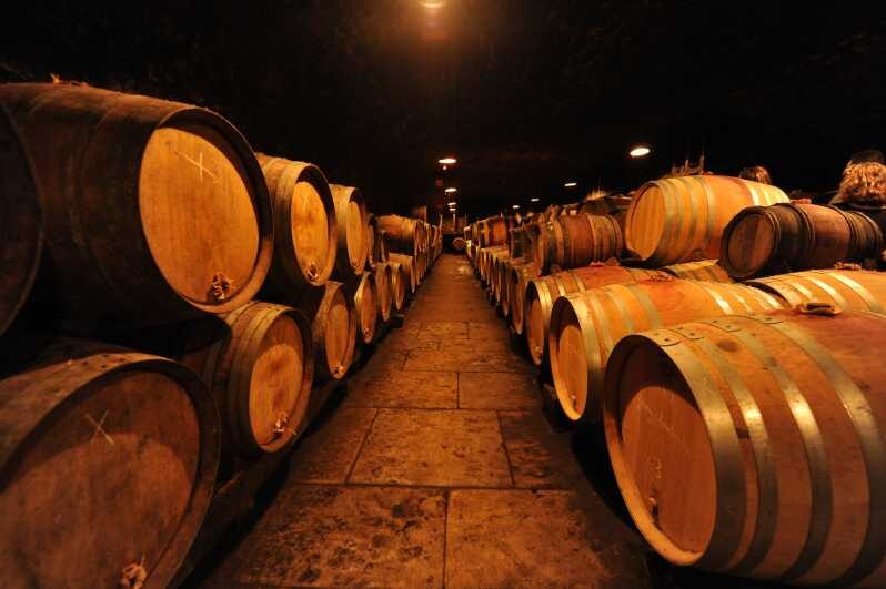 Burgundy Wines Full-Day Tasting Tour from Dijon - Exploring Burgundy’s Charm: A Detailed Review