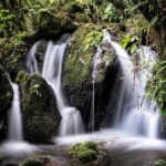 Buried Village of Te Wairoa - Practicalities for Your Visit