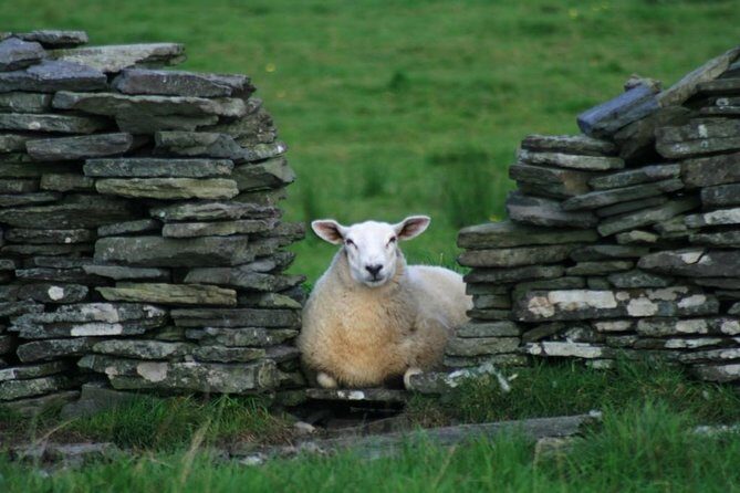 Burren Guided Electric Bike tour with Poulnabrone Portal Tomb - What’s Included and What’s Not