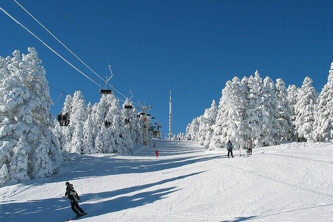 Bursa Uludag Tour From Istanbul - Authentic Experiences and Local Flavor