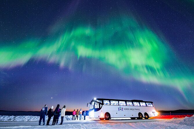 Bus Tour with Hunting Northern Lights - Authentic Feedback from Travelers