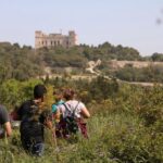 Buskett Woodlands and Dingli Cliffs Private Nature Tour - Who Will Love This Tour?